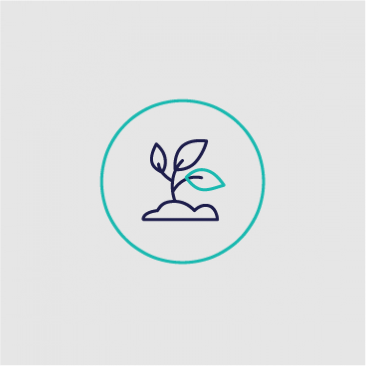 Vermindering van  plantuitval